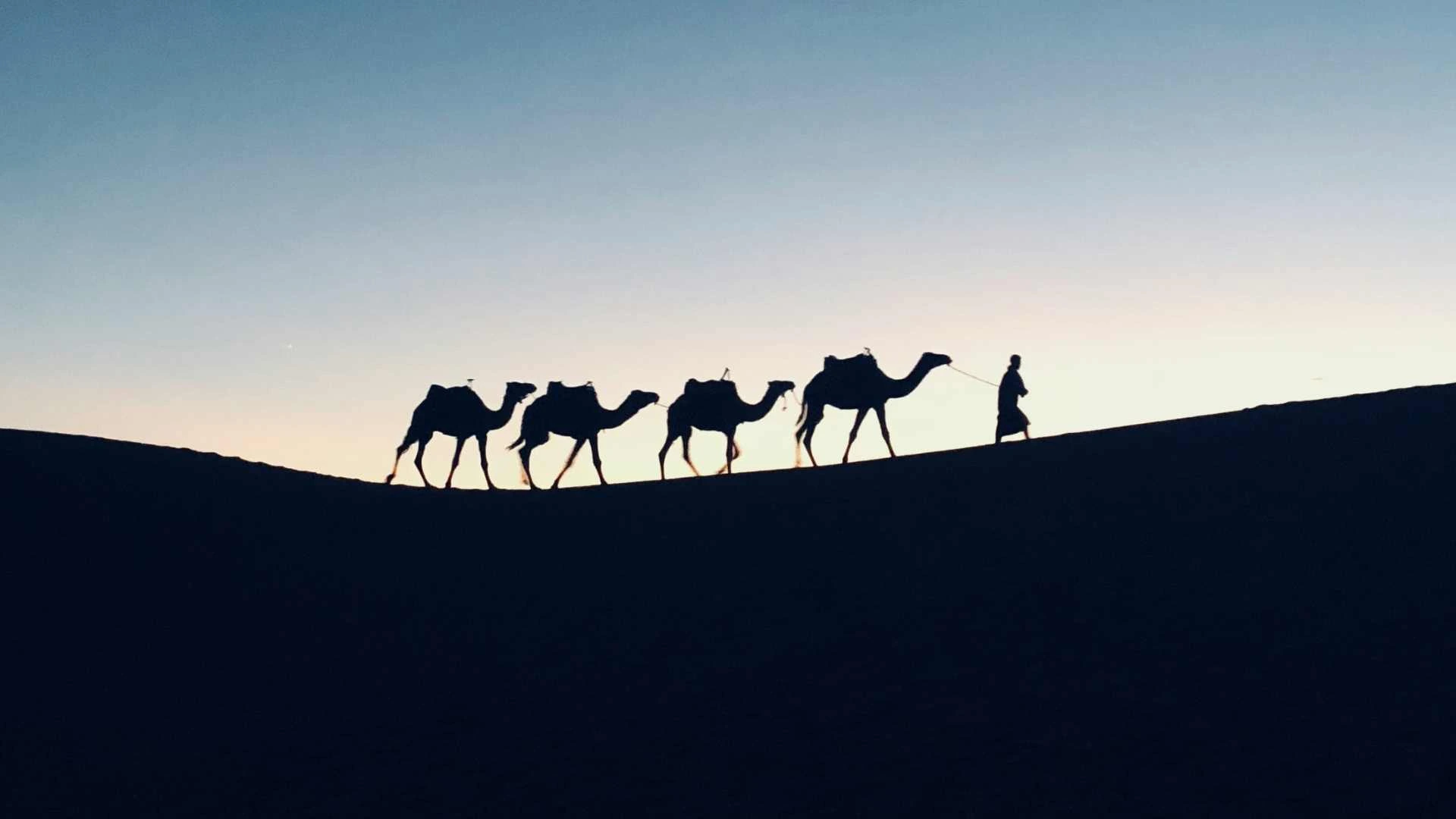 Penyusuan dan Masa Kecil Nabi ﷺ